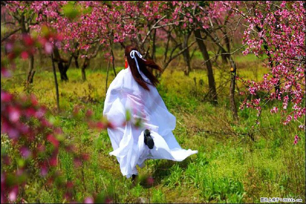 【春天,广西桂林灌阳县向您发出邀请!】官庄村有个醉美的桃花园 - 游山玩水 - 包头生活社区 - 包头28生活网 bt.28life.com