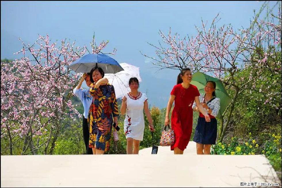 【春天,广西桂林灌阳县向您发出邀请!】望月岭上桃花开 - 游山玩水 - 包头生活社区 - 包头28生活网 bt.28life.com