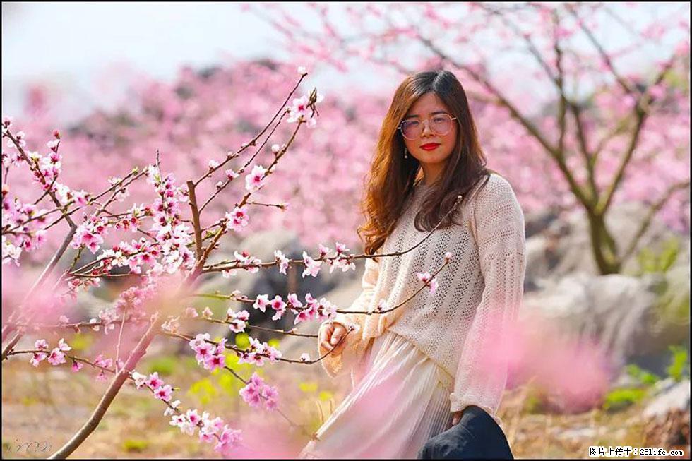 【春天,广西桂林灌阳县向您发出邀请!】望月岭上桃花开 - 游山玩水 - 包头生活社区 - 包头28生活网 bt.28life.com