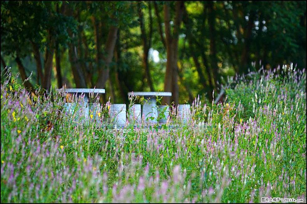 【春天，广西桂林灌阳县向您发出邀请！】熊家寨湿地公园 - 游山玩水 - 包头生活社区 - 包头28生活网 bt.28life.com