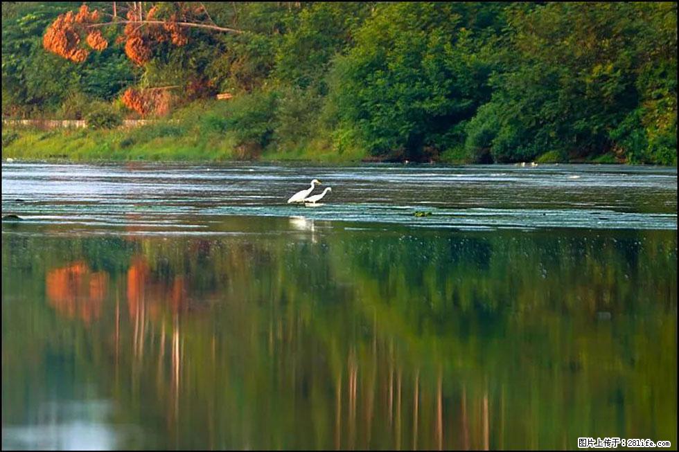 【春天，广西桂林灌阳县向您发出邀请！】熊家寨湿地公园 - 游山玩水 - 包头生活社区 - 包头28生活网 bt.28life.com