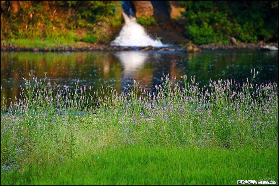 【春天，广西桂林灌阳县向您发出邀请！】熊家寨湿地公园 - 游山玩水 - 包头生活社区 - 包头28生活网 bt.28life.com