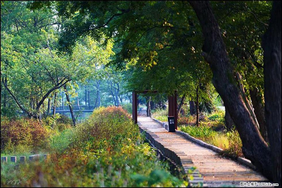 【春天，广西桂林灌阳县向您发出邀请！】熊家寨湿地公园 - 游山玩水 - 包头生活社区 - 包头28生活网 bt.28life.com