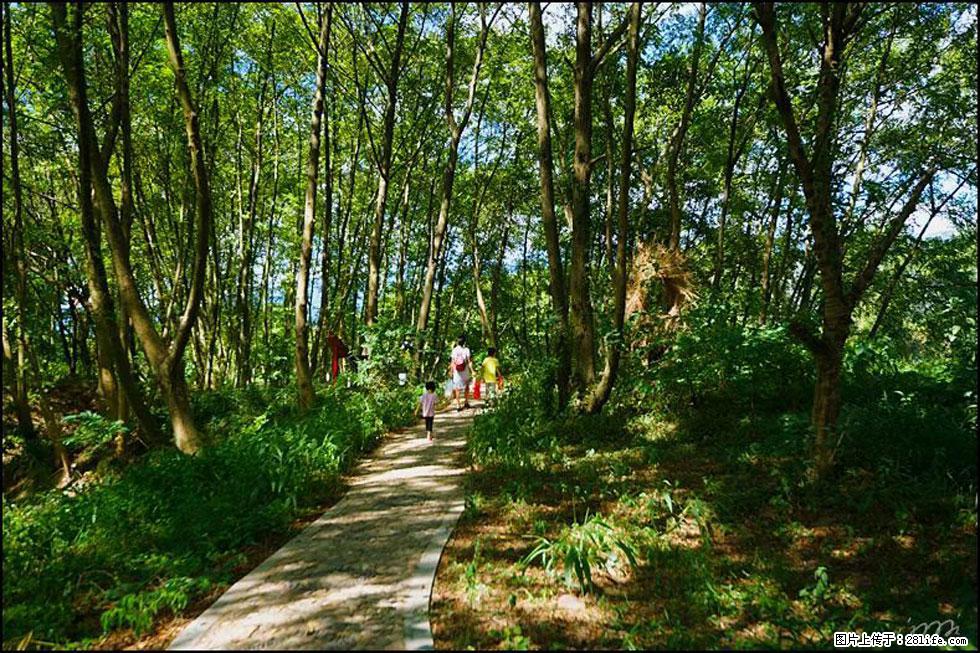 【春天，广西桂林灌阳县向您发出邀请！】熊家寨湿地公园 - 游山玩水 - 包头生活社区 - 包头28生活网 bt.28life.com