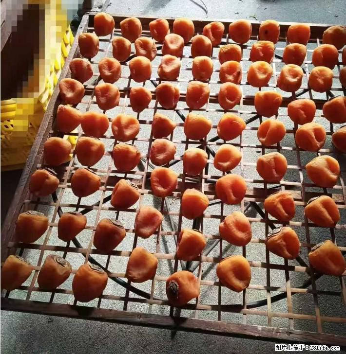 广西桂林平乐桥亭【柿饼之乡】2025年纯手工制作、无任何添加剂的第一批柿饼准备上市了,欢迎联系订购! - 美食天地 - 包头生活社区 - 包头28生活网 bt.28life.com