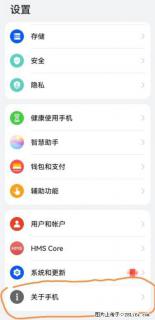 华为手机Mate30 如何开启开发者选项？