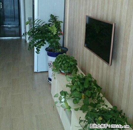 精装公寓,精装好房,家具家电都有 - 房屋出租 - 房屋租售 - 包头分类信息 - 包头28生活网 bt.28life.com