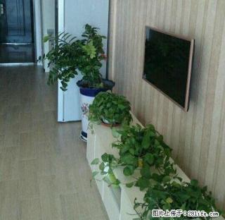 精装公寓，精装好房，家具家电都有 - 包头28生活网 bt.28life.com