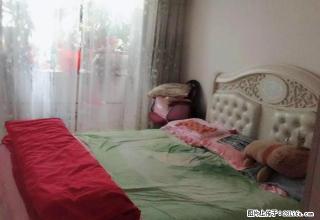 富强路7号街坊 家电齐全 手次出租 南北通透 精装修 九星 - 包头28生活网 bt.28life.com