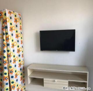 金荣公寓 包百商圈+精装修+可月付+包暖包物业+拎包入住 - 包头28生活网 bt.28life.com