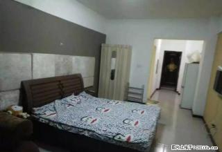 沃尔玛公寓 长租 短租可月付 付歀灵活 拎包入住 阳面 - 包头28生活网 bt.28life.com