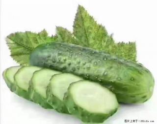 【生活小常识】吃黄瓜的好处