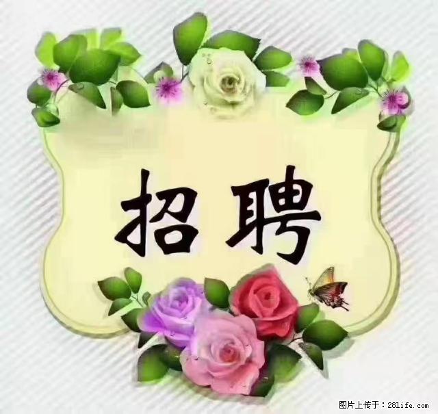 【招聘】住家育儿嫂，上户日期：4月4日，工作地址：上海 黄浦区 - 职场交流 - 包头生活社区 - 包头28生活网 bt.28life.com