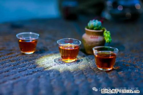 时间果百年古树2025年春红茶 - 购物交流 - 包头生活社区 - 包头28生活网 bt.28life.com