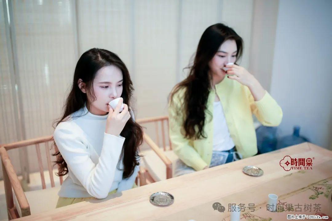 时间果百年古树龙珠普洱生茶 - 购物交流 - 包头生活社区 - 包头28生活网 bt.28life.com