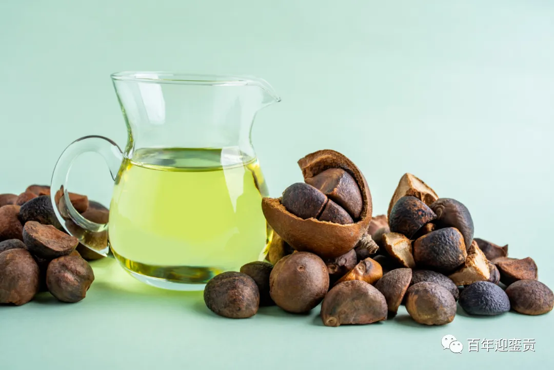 世界没有真相,只有认知,最好的食用油是中国的山茶油! - 包头生活资讯 - 包头28生活网 bt.28life.com