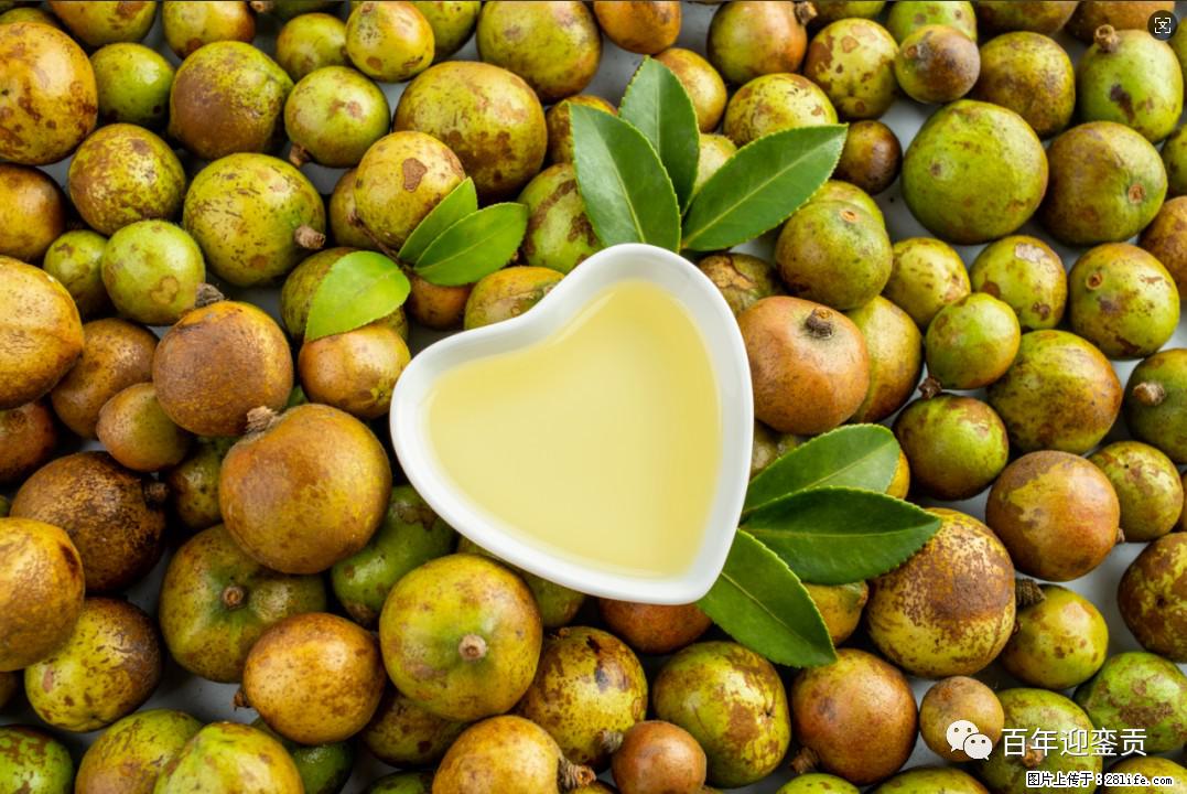 世界没有真相,只有认知,最好的食用油是中国的山茶油! - 包头生活资讯 - 包头28生活网 bt.28life.com