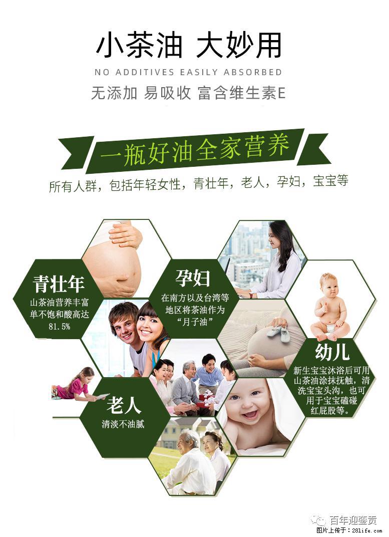 世界没有真相,只有认知,最好的食用油是中国的山茶油! - 包头生活资讯 - 包头28生活网 bt.28life.com