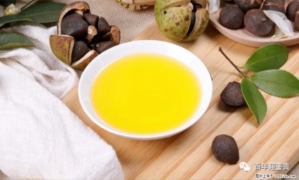 世界没有真相,只有认知,最好的食用油是中国的山茶油! - 包头生活资讯 - 包头28生活网 bt.28life.com