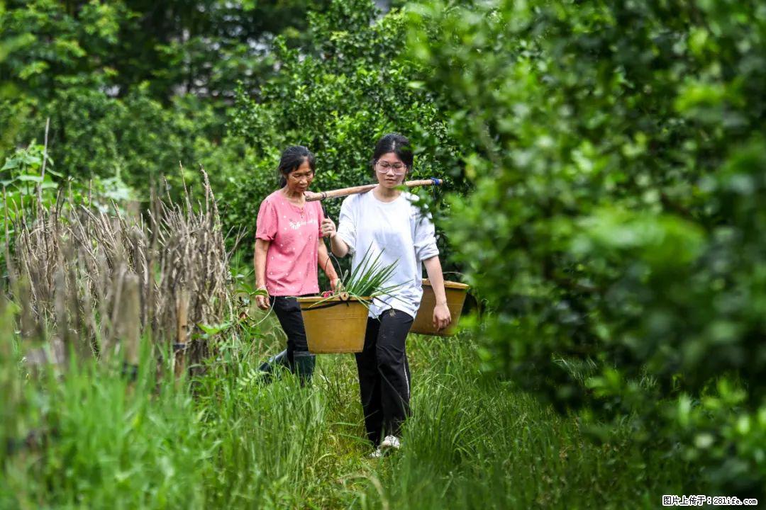 全网追的“扁担女孩”,找了一份暑假工,时薪12元 - 包头生活资讯 - 包头28生活网 bt.28life.com