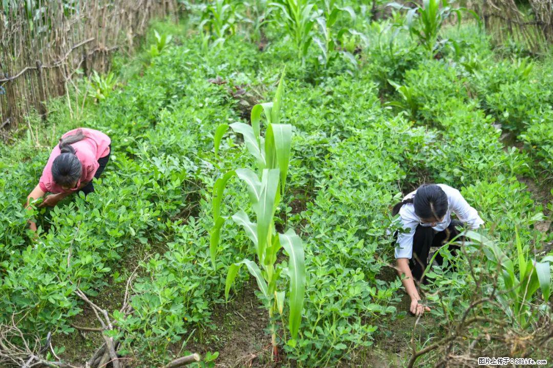 全网追的“扁担女孩”,找了一份暑假工,时薪12元 - 包头生活资讯 - 包头28生活网 bt.28life.com