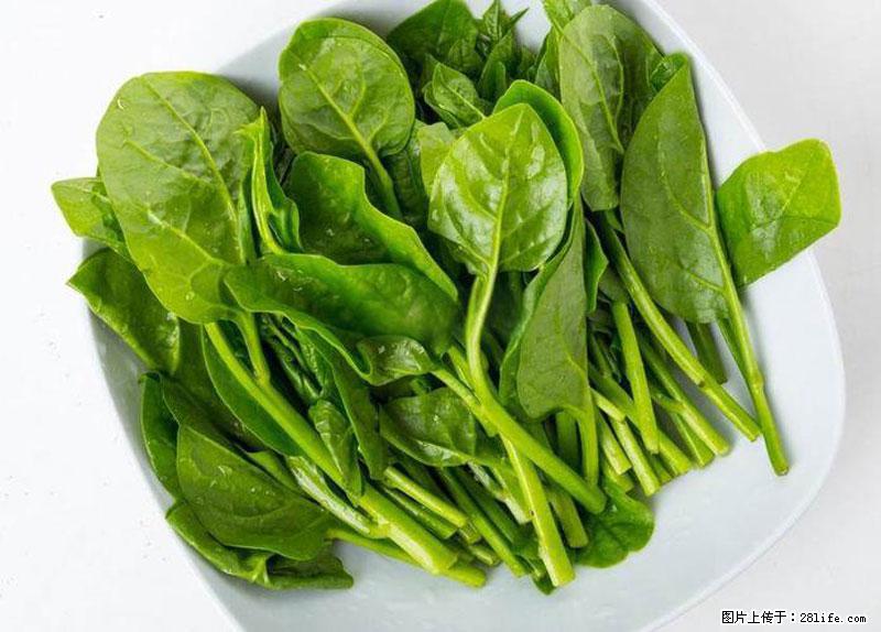 这些蔬菜是“天然钙片”，这6种被医生重点推荐 - 包头生活资讯 - 包头28生活网 bt.28life.com
