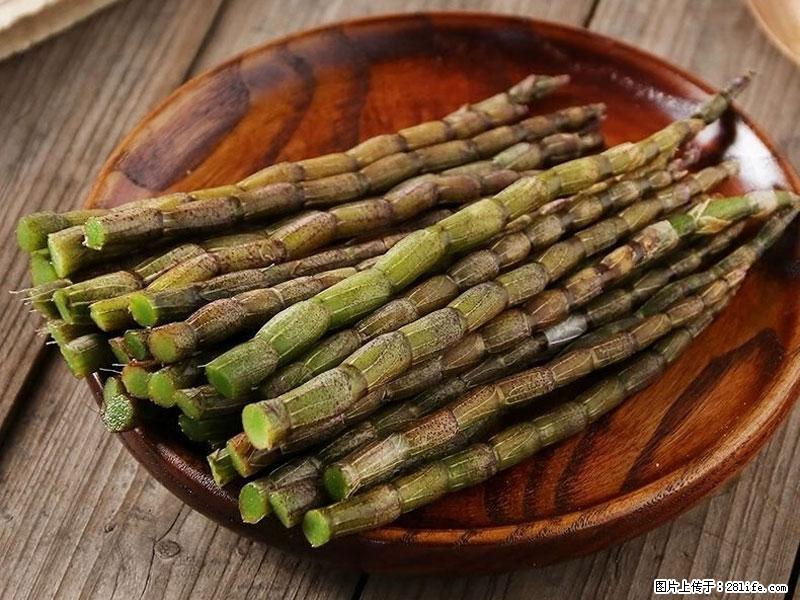 铁皮石斛的作用与功能主治 - 包头生活资讯 - 包头28生活网 bt.28life.com