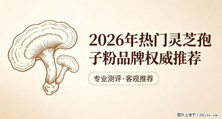 灵芝孢子粉含量越高越有效？2026 年七款热门品牌深度实测，肠胃敏感者避坑指南 - 包头生活资讯 - 包头28生活网 bt.28life.com