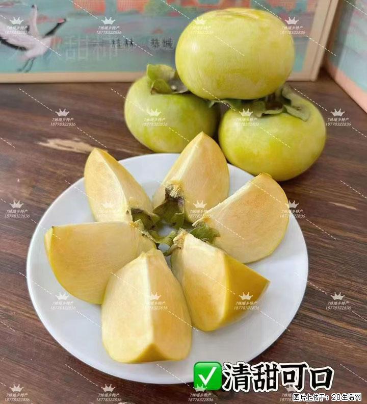 广西桂林平乐桥亭【红心猕猴桃】、【大秋甜柿】上市啦，欢迎各位新老客户下单（另有少量小果出售） - 包头生活资讯 - 包头28生活网 bt.28life.com